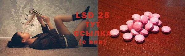 гашик Вяземский
