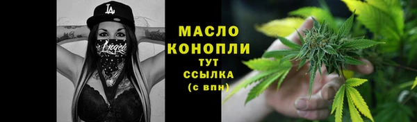 гашик Вяземский