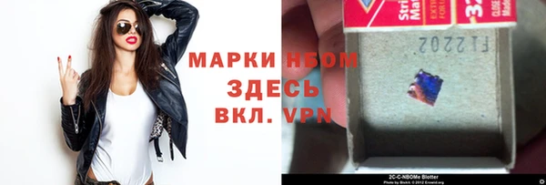 гашик Вяземский