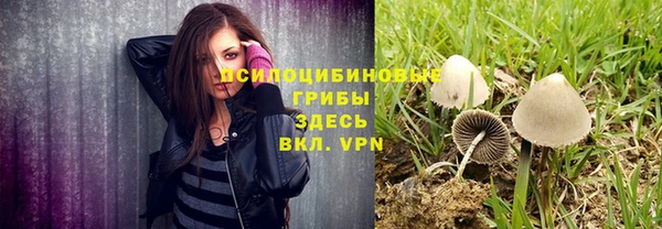 2c-b Вязьма