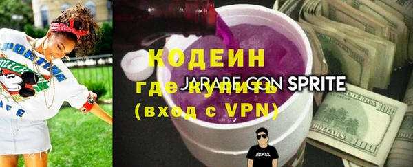 гашик Вяземский