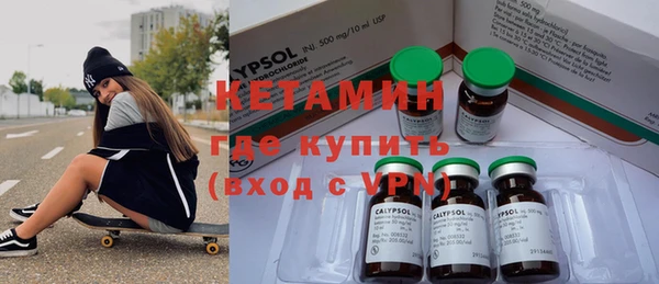 гашик Вяземский