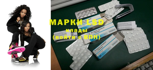гашик Вяземский