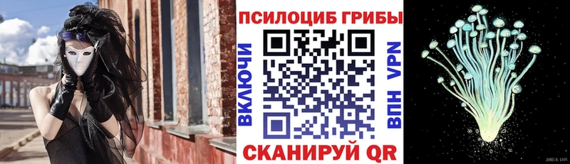Купить закладки  Агидель  Псилоцибиновые грибы Cubensis 